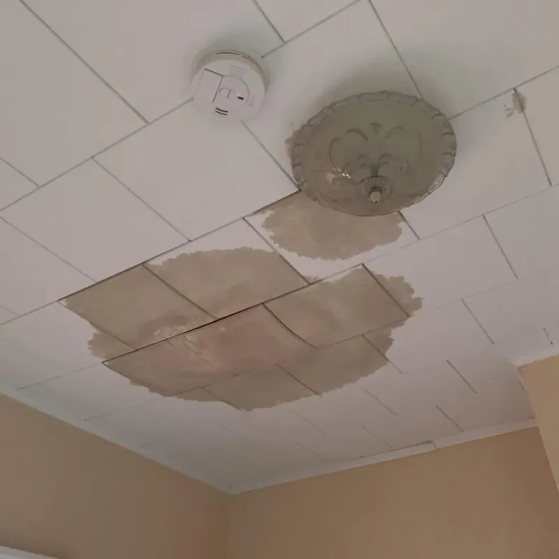 Ceiling Water Damage Repair in Trafford, PA