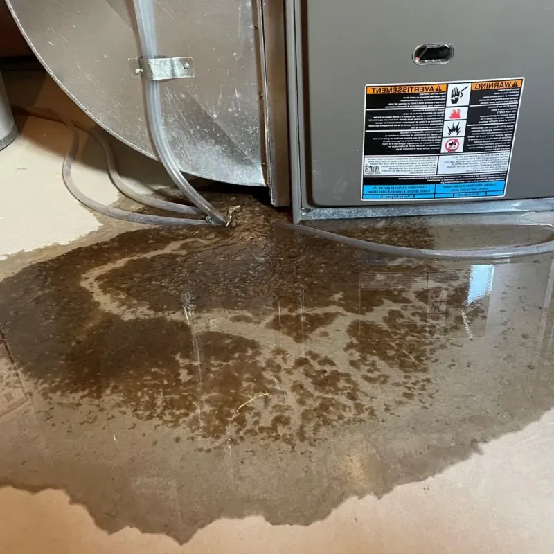 Pipe Burst and Leak Restoration in Trafford, PA